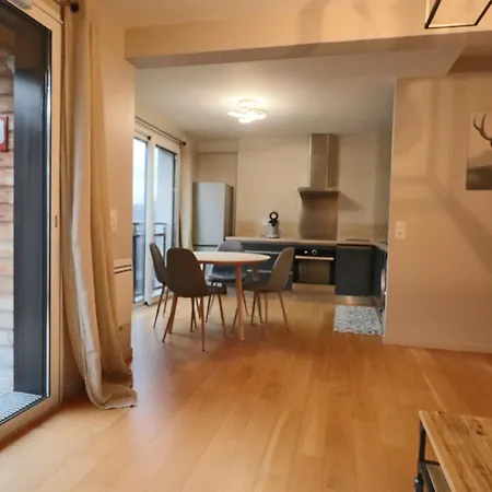 Confort 4* Avec Parking Et Terrasse Au Mont-dore - Fr-1-858-39 Le Mont-Dore