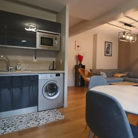 Confort 4* Avec Parking Et Terrasse Au Mont-dore - Fr-1-858-39 Le Mont-Dore