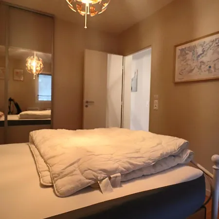 Confort 4* Avec Parking Et Terrasse Au Mont-dore - Fr-1-858-39